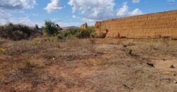 Parcelle de 750 m2 en Bordure de Route : Emplacement Paisible et Pratique à 10 min d’Ambatobe