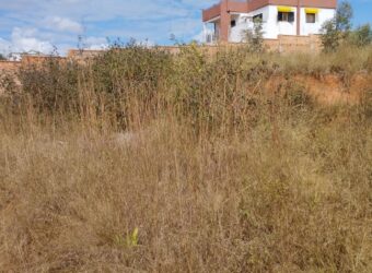 Terrain Spacieux de 1 240 m2 à Antsampandrano : Idéal pour Projet Immobilier