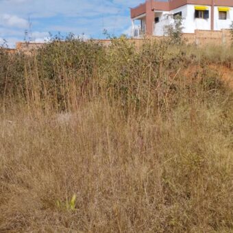 Terrain Spacieux de 1 240 m2 à Antsampandrano : Idéal pour Projet Immobilier