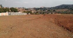 Terrain de 8 000 m² à Faliarivo Ampitatafika