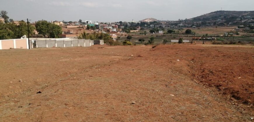 Terrain de 8 000 m² à Faliarivo Ampitatafika