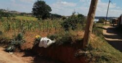 A vendre plusieurs lots de terrain avec belle vue à  Faliarivo Ampitatafika- Antananarivo