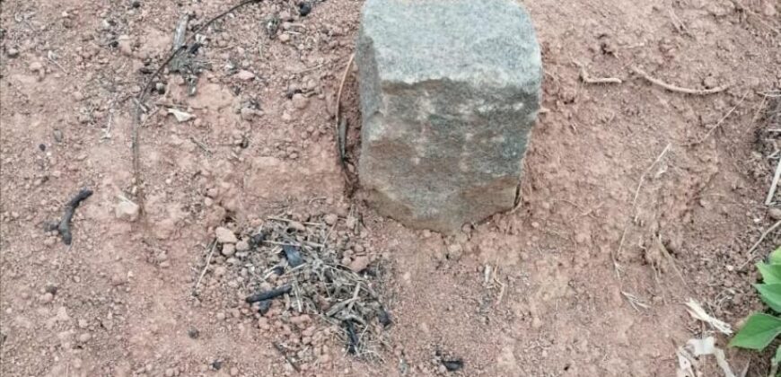 A vendre plusieurs lots de terrain avec belle vue à  Faliarivo Ampitatafika- Antananarivo