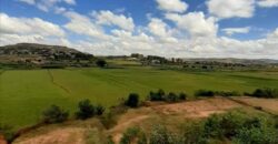 A vendre plusieurs lots de terrain avec belle vue à  Faliarivo Ampitatafika- Antananarivo