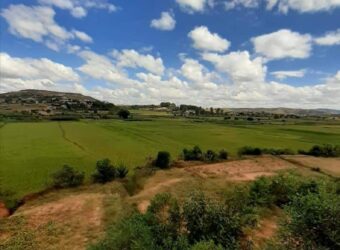 A vendre plusieurs lots de terrain avec belle vue à  Faliarivo Ampitatafika- Antananarivo