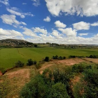 Terrain de 8 000 m² à Faliarivo Ampitatafika