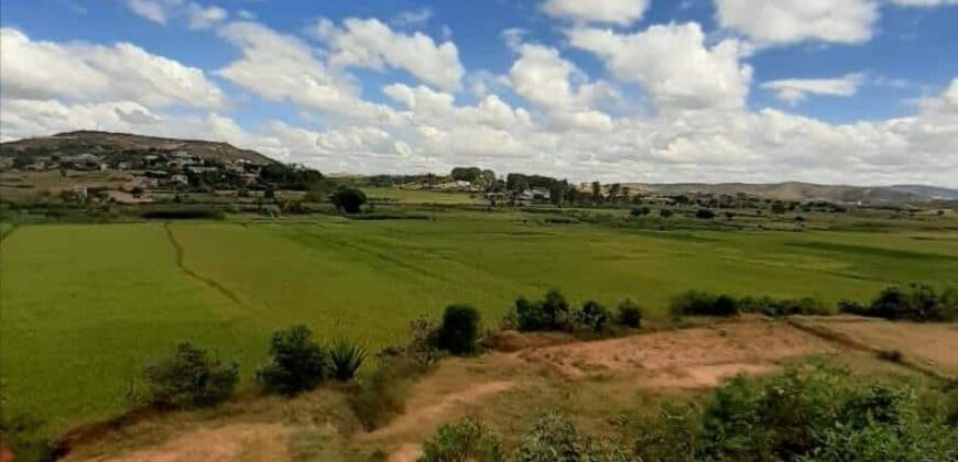 A vendre plusieurs lots de terrain avec belle vue à  Faliarivo Ampitatafika- Antananarivo