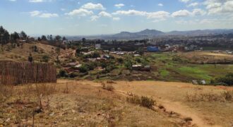 Beau terrain de 6280 m2, Ankadiefajoro Andoharanofotsy
