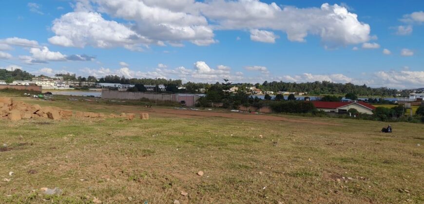 Un grand terrain de 8000 m2 à vendre à Ambohidratrimo