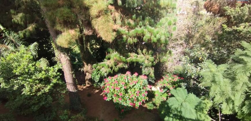 À Vendre : Ravissante villa avec Piscine sur un Terrain de 1 519 m2 à Andohanimandroseza