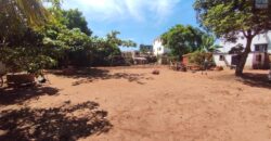 Vente terrain 1213m2 à Ambohipotsy Talatamaty