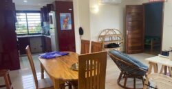 À louer : Charmant appartement T3 semi-meublé avec vue sur le Rova à Ampasanimalo
