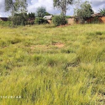 Investissez dans un terrain de 4414 m² à Anosiala, Ambatomena – Emplacement de choix pour tous vos projets