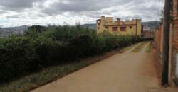 Terrain de 1073M2 légèrement en pente, Ambolokandrina