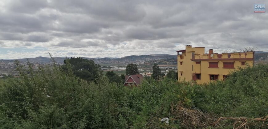 Terrain de 1073M2 légèrement en pente, Ambolokandrina