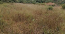 Terrain de 1073M2 légèrement en pente, Ambolokandrina