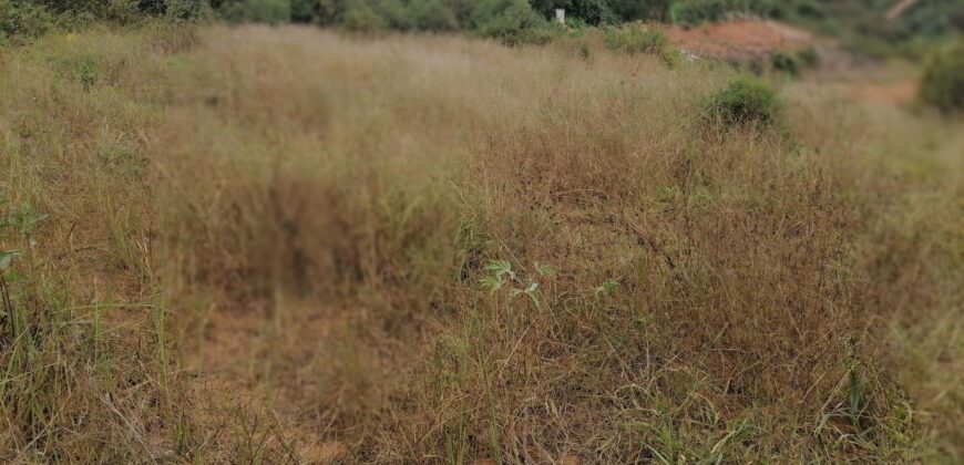 Terrain de 1073M2 légèrement en pente, Ambolokandrina