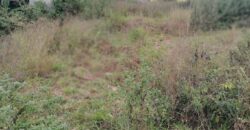 Terrain de 1073M2 légèrement en pente, Ambolokandrina