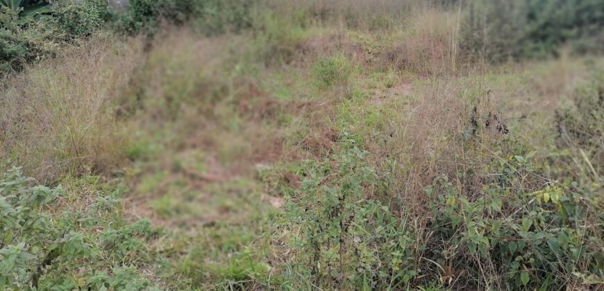 Terrain de 1073M2 légèrement en pente, Ambolokandrina