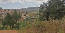 Terrain de 1073M2 légèrement en pente, Ambolokandrina