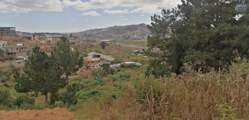 Terrain de 1073M2 légèrement en pente, Ambolokandrina