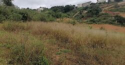 Terrain de 1073M2 légèrement en pente, Ambolokandrina