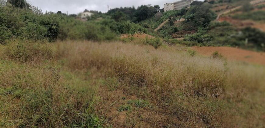 Terrain de 1073M2 légèrement en pente, Ambolokandrina