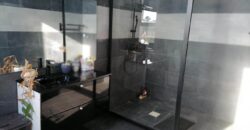 Grande villa de haut standing F5 avec piscine, Ivato