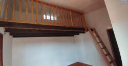 Grande villa F5 et vaste terrain arboré à vendre à Ambohimalaza
