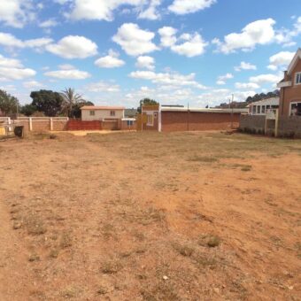 À vendre : Belle parcelle de 3000 m² avec maison F4 et annexes à Manjaka Ifafy