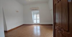 Location d’une grande et belle villa F8 avec piscine et jardin arboré à Ambohibao