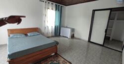 A vendre une grande propriété de 4500 m2 avec une villa F8 située à Ambatomirahavavy