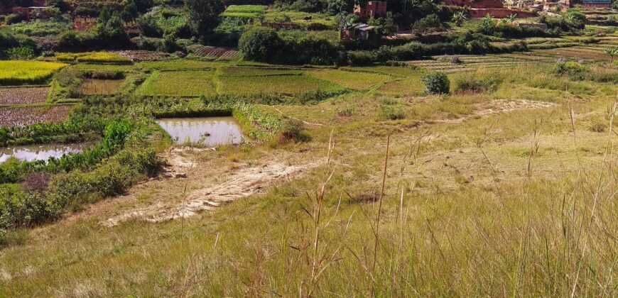 Terrain de 3200 m² à vendre à Ambohidratrimo avec vue imprenable
