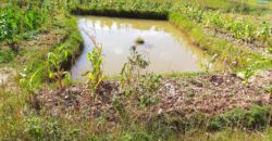 Terrain de 3200 m² à vendre à Ambohidratrimo avec vue imprenable