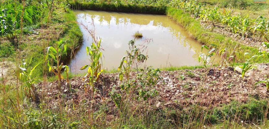 Terrain de 3200 m² à vendre à Ambohidratrimo avec vue imprenable