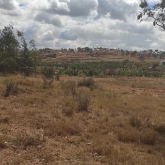 A vendre un terrain de 1450 m2 à Alakamisy fenoarivo