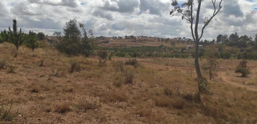 A vendre un terrain de 1450 m2 à Alakamisy fenoarivo