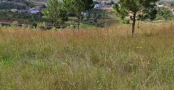 Vente d’un terrain exceptionnel de 13000 m2 situé dans un quartier résidentiel à Manazary Ilafy