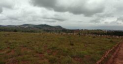À vendre : Terrains de 300 m² à 600 m² à Vontovorona, dans un cadre paisible et naturel