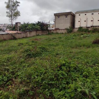 Vente d’un terrain plat et entièrement clôturé de 1100 m2 situé à Ambohmangakely
