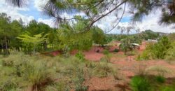 A vendre un vaste terrain de 6625 m2 situé à Ambohimasina Vontovoraona