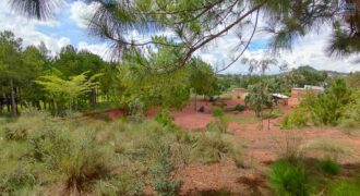A vendre un vaste terrain de 6625 m2 situé à Ambohimasina Vontovoraona