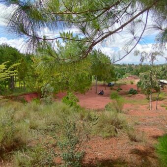 A vendre un vaste terrain de 6625 m2 situé à Ambohimasina Vontovoraona