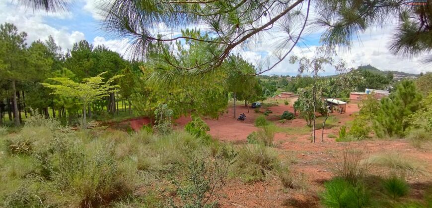 A vendre un vaste terrain de 6625 m2 situé à Ambohimasina Vontovoraona