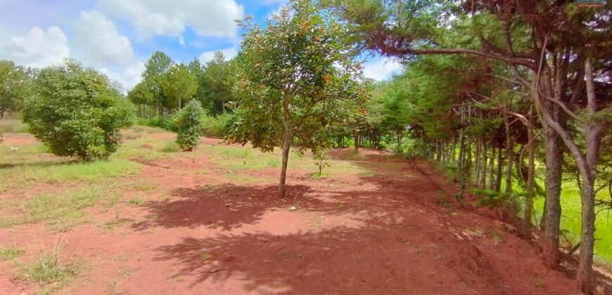 A vendre un vaste terrain de 6625 m2 situé à Ambohimasina Vontovoraona