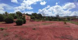 A vendre un vaste terrain de 6625 m2 situé à Ambohimasina Vontovoraona
