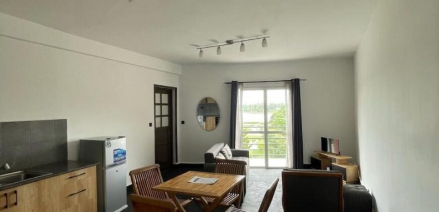A louer deux appartements T2 meublés situés dans un quartier calme Mandrosoa Ivato