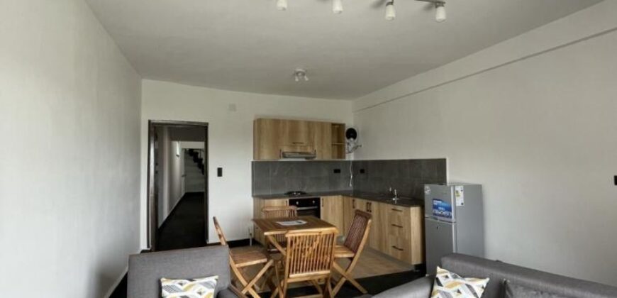 A louer deux appartements T2 meublés situés dans un quartier calme Mandrosoa Ivato