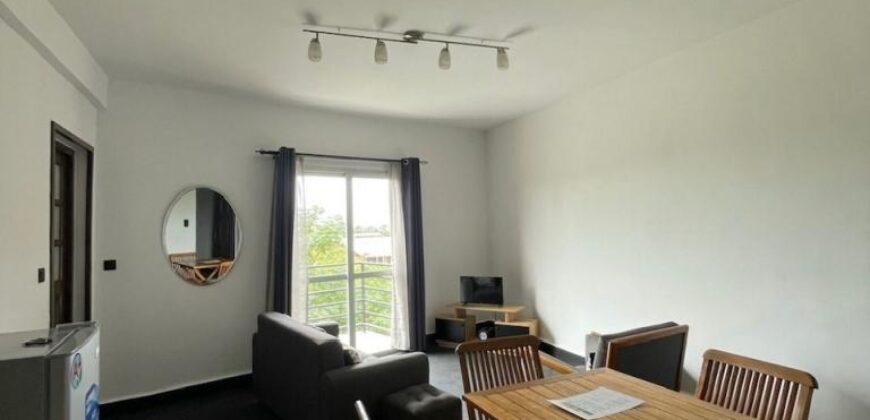 A louer deux appartements T2 meublés situés dans un quartier calme Mandrosoa Ivato