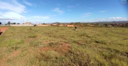 A vendre un terrain plat de 1 hectare situé à Ambohinanjakana, dans le quartier d’Ambohidratimo